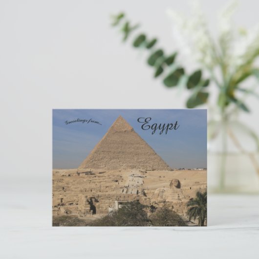 Carte Postale Le complexe des pyramides de Gizeh en Egypte (Debout devant)