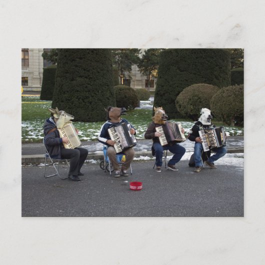 Carte Postale Le concert d'animaux (Devant)