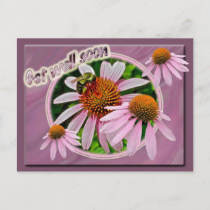 Carte Postale Le Coneflower va bien bientôt