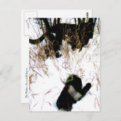 Carte Postale Le Conte Populaire Ukrainien de la Mitten (Devant / Derrière)