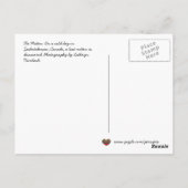 Carte Postale Le Conte Populaire Ukrainien de la Mitten (Dos)