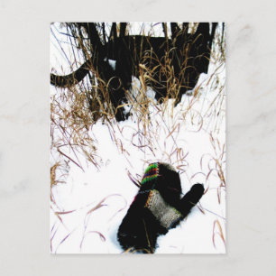 Carte Postale Le Conte Populaire Ukrainien de la Mitten