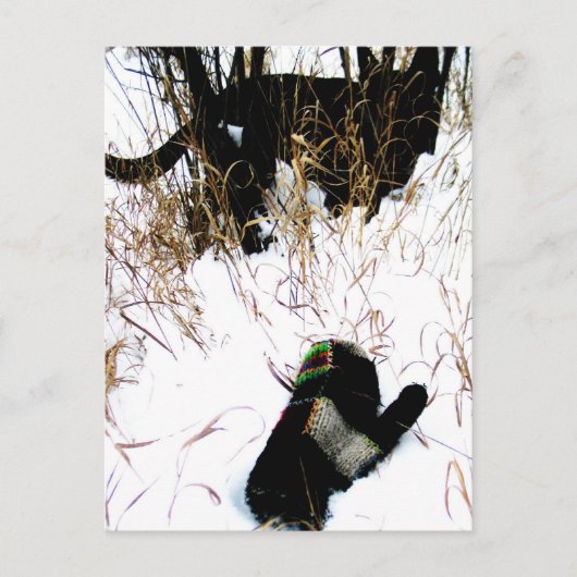 Carte Postale Le Conte Populaire Ukrainien de la Mitten (Devant)