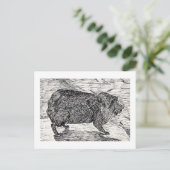 Carte Postale Le cony, Ou Syrien Rock Hyrax (Debout devant)