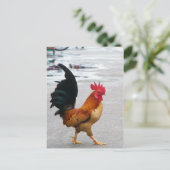 Carte Postale Le Coq A Traversé La Route (Debout devant)