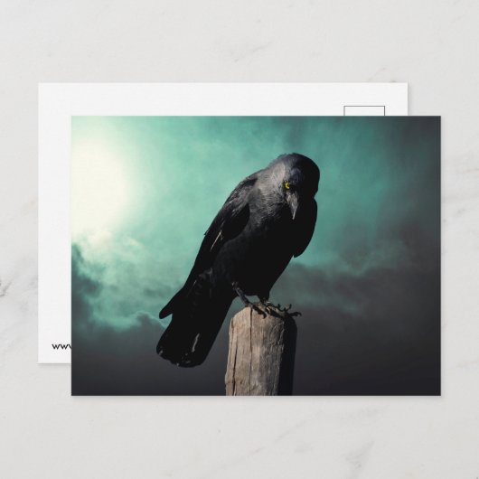 Carte Postale Le corbeau (Devant / Derrière)