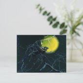 Carte Postale le Corbeau (Debout devant)