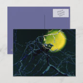 Carte Postale le Corbeau (Devant / Derrière)