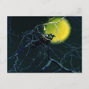 Carte Postale le Corbeau