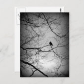 Carte Postale Le Corbeau (Devant / Derrière)