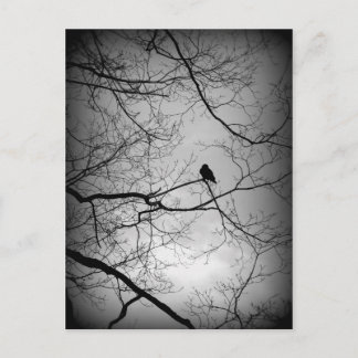 Carte Postale Le Corbeau