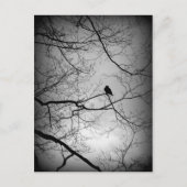 Carte Postale Le Corbeau (Devant)