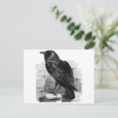 Carte Postale Le Corbeau (Debout devant)