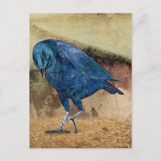 Carte Postale Le Corbeau M'Appelle ! (Devant)