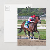 Carte Postale Le Cotillion 2016 (Devant / Derrière)