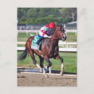 Carte Postale Le Cotillion 2016