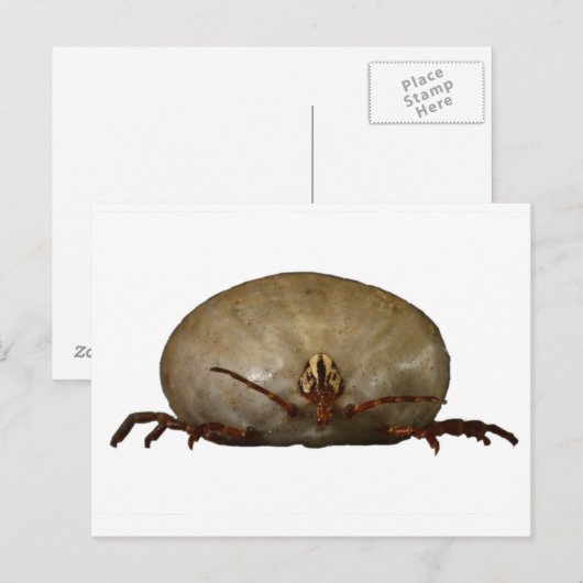 Carte Postale Le coup (Devant / Derrière)