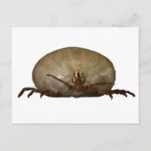 Carte Postale Le coup (Devant)