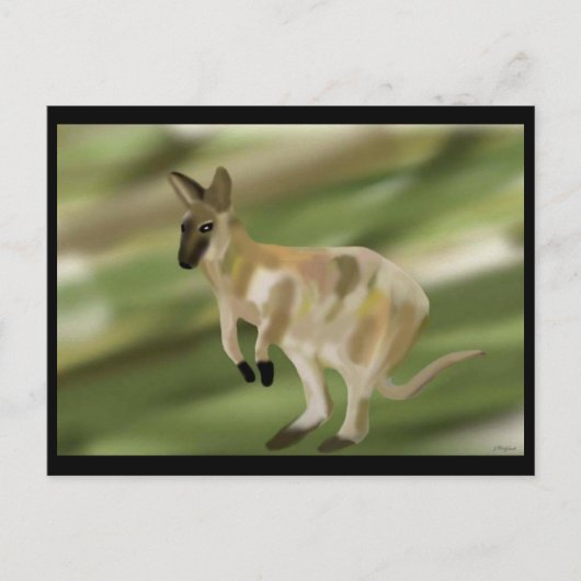 Carte Postale Le coup de pied Wallaby (Devant)