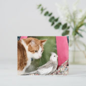 Carte Postale Le couple impair (Debout devant)