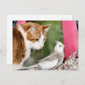 Carte Postale Le couple impair (Devant / Derrière)