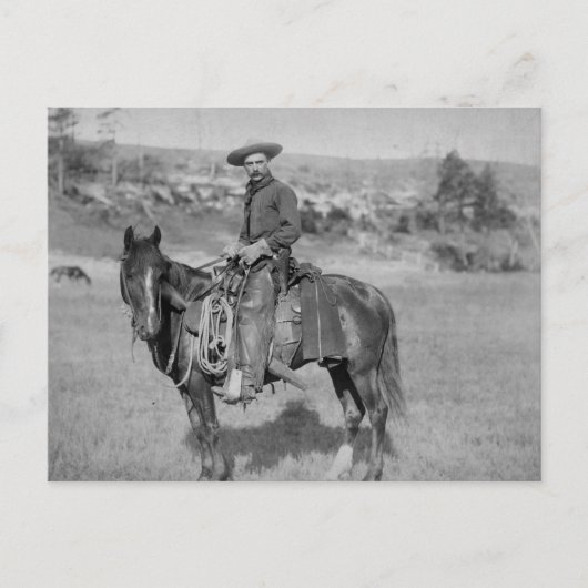 Carte Postale Le cowboy (Devant)
