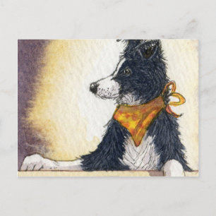 Carte Postale Le cowboy cool collie garde un oeil attentif...