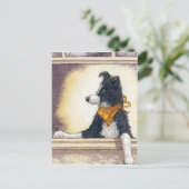 Carte Postale Le cowboy cool collie garde un oeil attentif... (Debout devant)