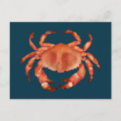 Carte Postale Le crabe côtier (Devant)