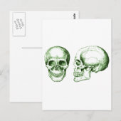 Carte Postale Le crâne (Devant / Derrière)