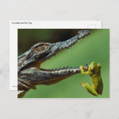 Carte Postale Le Crocodile et la grenouille (Devant / Derrière)