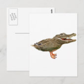 Carte Postale Le Crocoduck aux pieds (Devant / Derrière)
