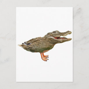 Carte Postale Le Crocoduck aux pieds