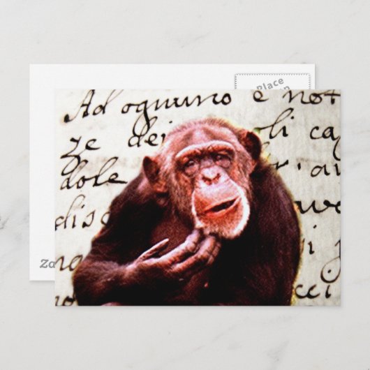 Carte Postale le cru scripts le chimpanzé drôle (Devant / Derrière)