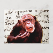 Carte Postale le cru scripts le chimpanzé drôle (Devant)