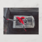 Carte Postale Le cygne rouge (Devant)