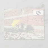 Carte Postale Le Dandelion grandit à travers le rocher Landscapi (Dos)