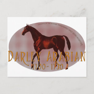 Carte Postale Le Darley Arabian