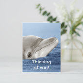 Carte Postale Le dauphin souriant (Debout devant)