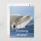 Carte Postale Le dauphin souriant (Devant / Derrière)