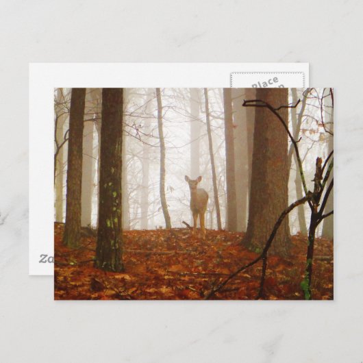 Carte Postale Le Démon (Devant / Derrière)