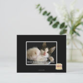 Carte Postale Le dernier (Debout devant)