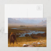 Carte Postale Le Dernier du Buffalo (Devant / Derrière)