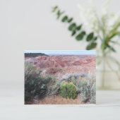 Carte Postale Le désert peint (Debout devant)