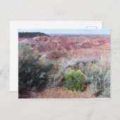 Carte Postale Le désert peint (Devant / Derrière)