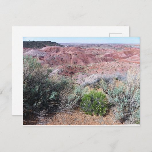 Carte Postale Le désert peint (Devant / Derrière)