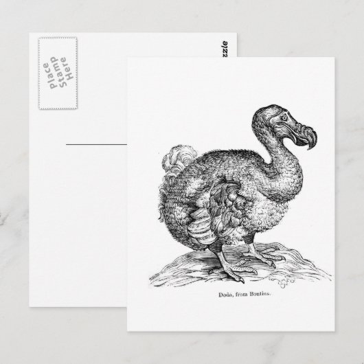 Carte Postale Le Dodo (Devant / Derrière)