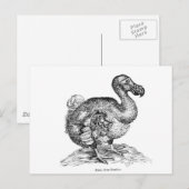 Carte Postale Le Dodo (Devant / Derrière)