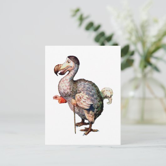 Carte Postale Le Dodo Bird (Debout devant)