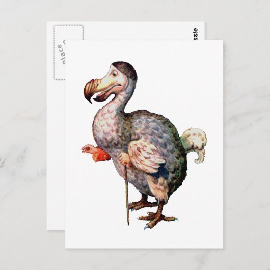 Carte Postale Le Dodo Bird (Devant / Derrière)